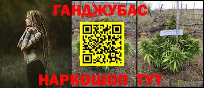 прущие крисы Кулебаки