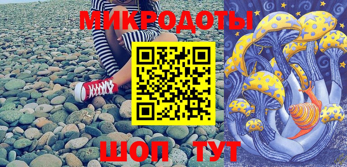 Галлюциногенные грибы Cubensis Балашов